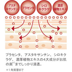シミやダメージにアプローチする成分