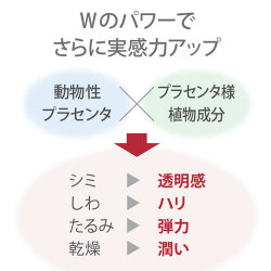 Wプラセンタの力